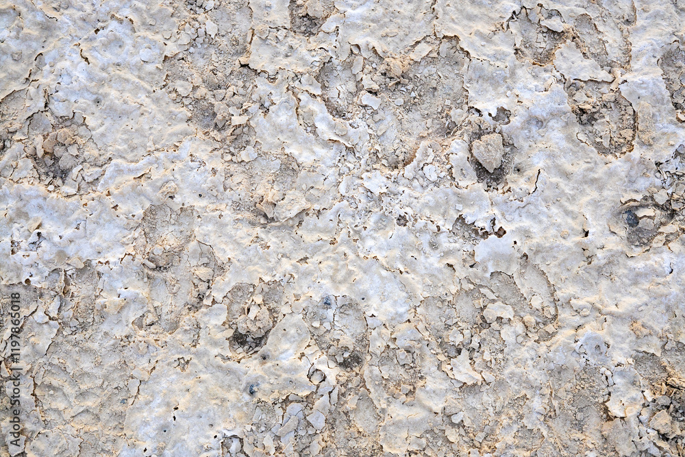 Cracked surface of a dried waterhole. Cracked surface of a dried waterhole.