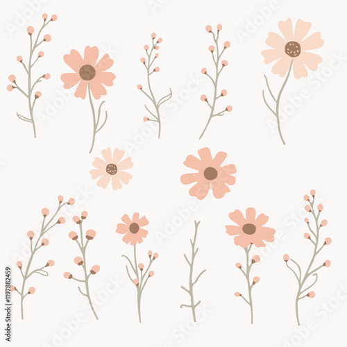 floral elements, flowers, branches, on a white background isolate