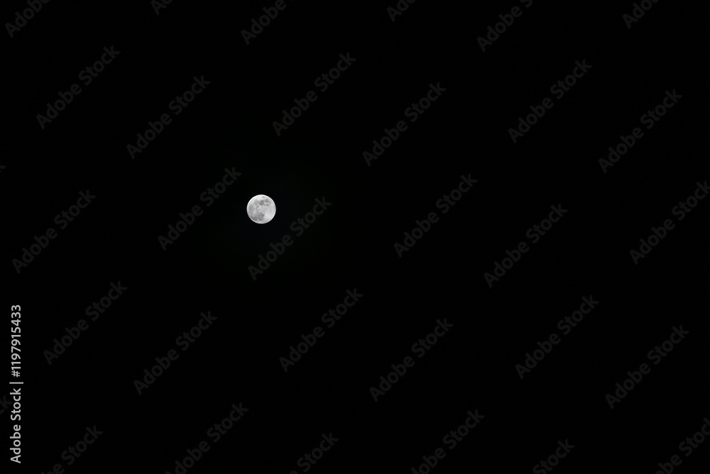 A stunning night view of a full moon, illuminating the sky with its soft glow. A stunning night view of a full moon, illuminating the sky with its soft glow.