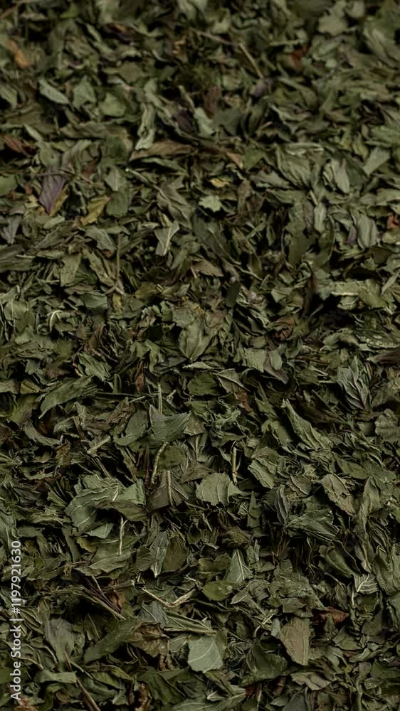 Dried, chopped peppermint leaves as a background. Dry herb texture. Selective focus. Table spin. Vertical video. Dried, chopped peppermint leaves as a background. Dry herb texture. Selective focus. Table spin. Vertical video.