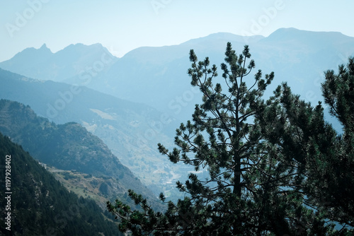árbol vistas 