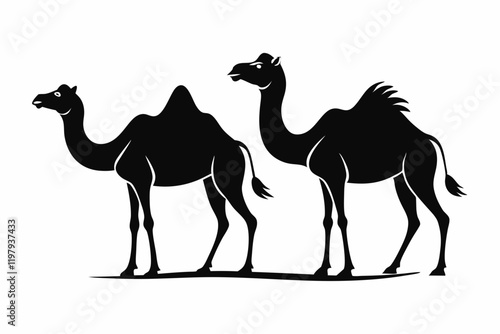 camel in desert