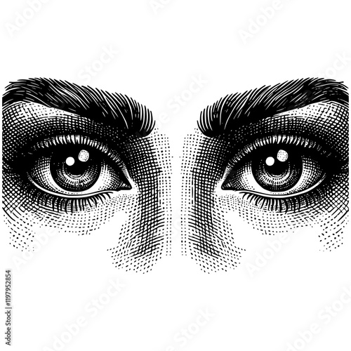 Eyes Illustration