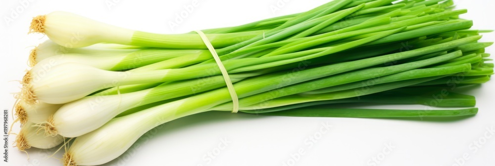 Fresh Spring Green Onion Isolated on White Background. Nature's Natural Food Fresh Spring Green Onion Isolated on White Background. Nature's Natural Food