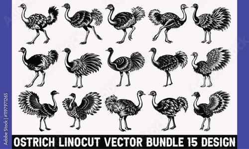 Ostrich Linocut Vector Bundle: Unique vintage-style ostrich linocut patterns and graphics for artistic projects, branding, and decorative design elements.   photo