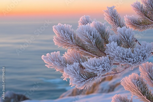 Frost-covered pine branches against a serene, pastel sunrise over a calm sea.