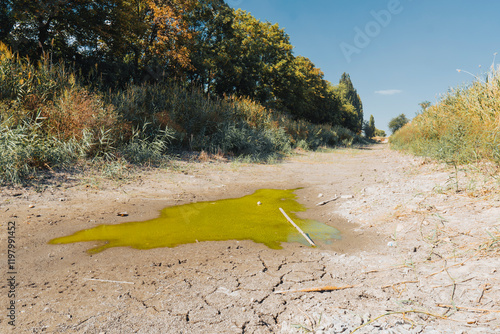 Dry river bed on a sunny summer day. Concept of climate change, drought and drying up of water bodies	 photo