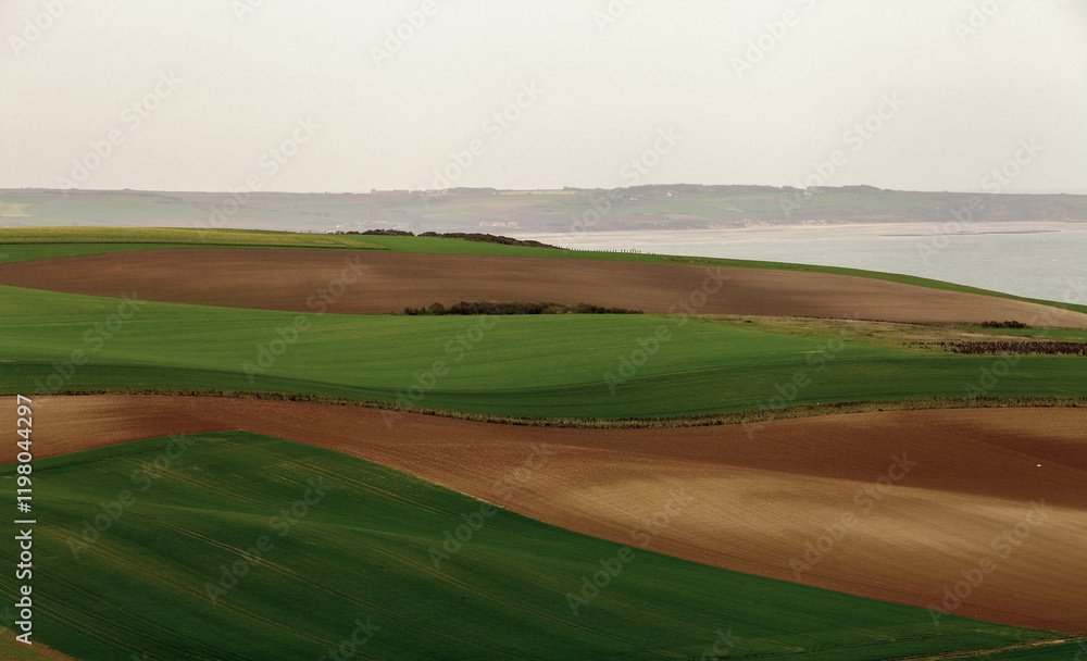 Obraz premium Green and brown rolling hills with farmland near the coastline of Europe, France. Concept of nature, agriculture, and the serene beauty of rural landscapes.