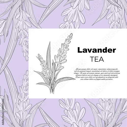 Stickers label Aroma herbal lavender purple flower natural relaxation in aromatherapy, tea, medicine, candle, decor 