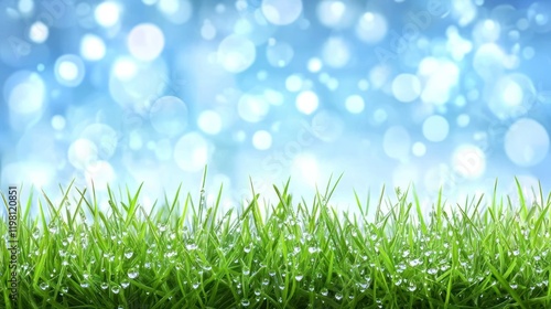 Dewy green grass with bokeh background.