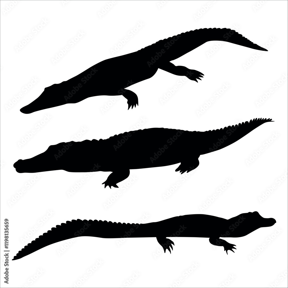 Fototapeta premium Animal Crocodile Black Silhouette vector illustration