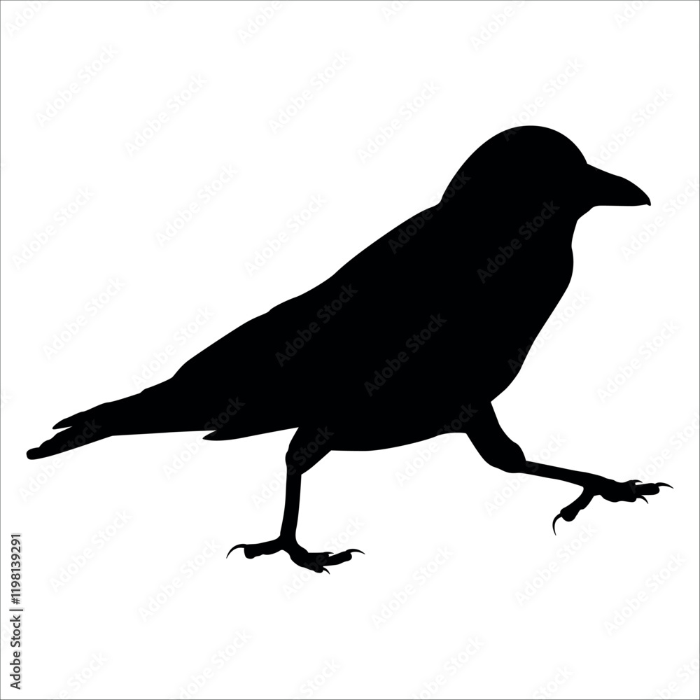 Bird Crow Silhouette Vector illustration Bird Crow Silhouette Vector illustration