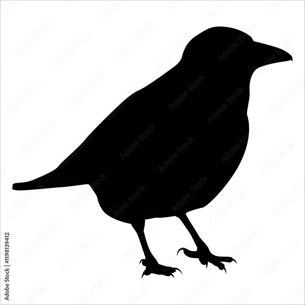 Obraz premium Bird Crow Silhouette Vector illustration