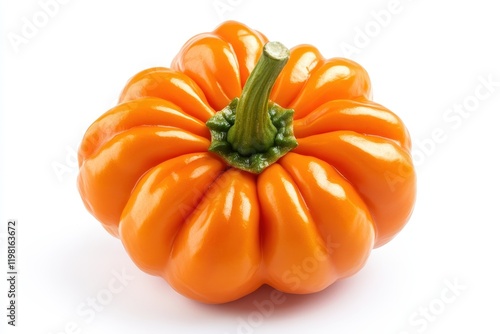 A single red chili pepper such as bell paprika cayenne jalapeno or hungarian wax on a white background close up with empty space photo