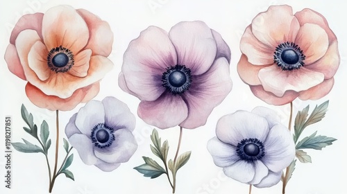 Wallpaper Mural watercolor painting of anemone flowers, can be used as a background Torontodigital.ca