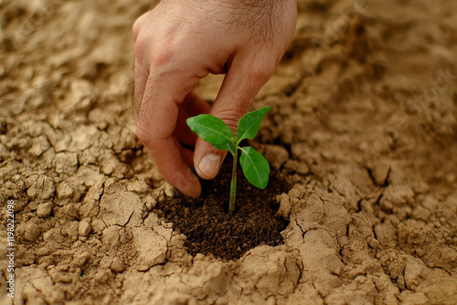 A hand planting a small green seedling in dry soil, symbolizing growth, sustainability, and nurturing nature. photo