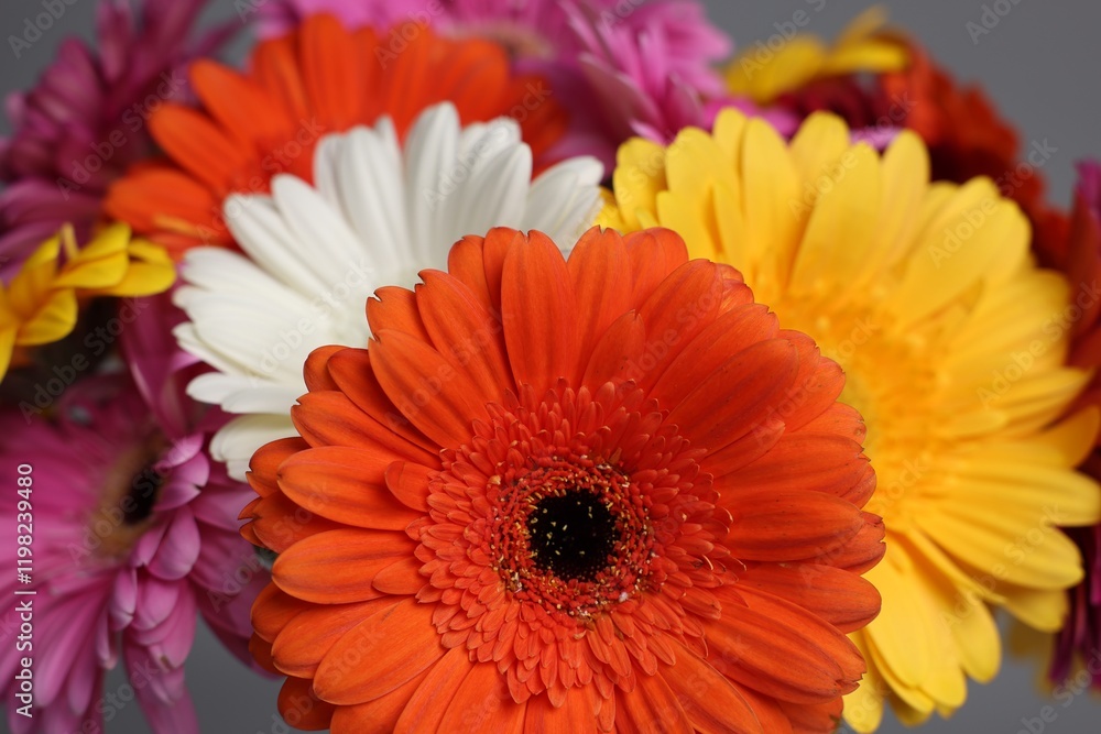Bouquet of beautiful gerbera flowers on blurred background, closeup Bouquet of beautiful gerbera flowers on blurred background, closeup