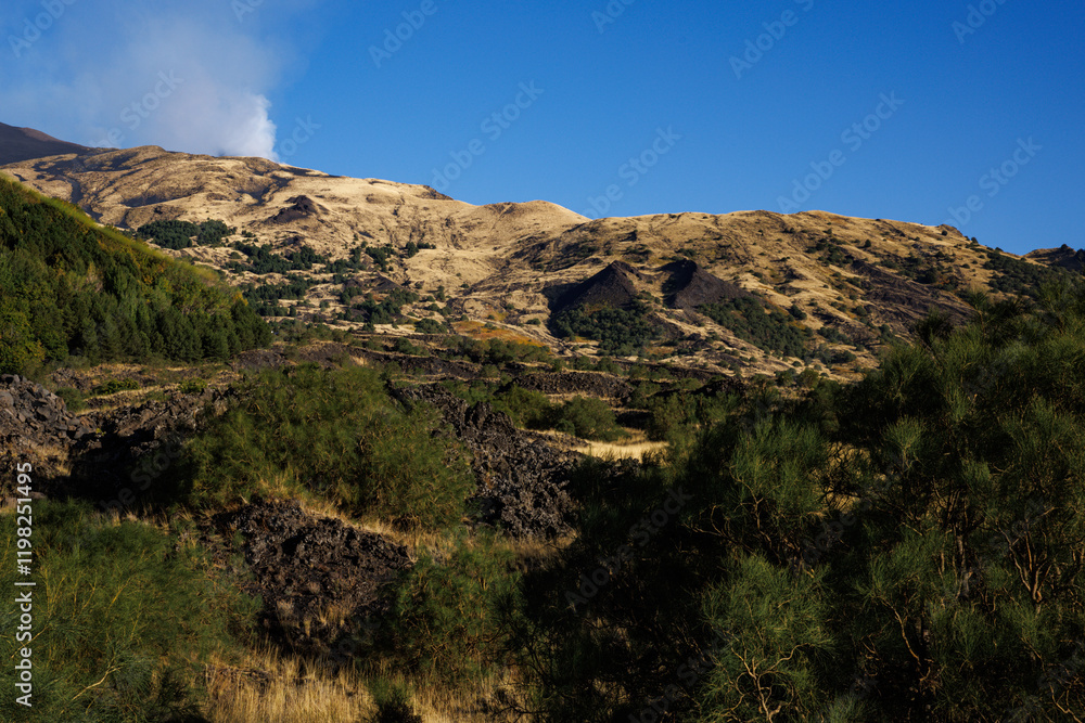 Yellow-green hills with dry grass create a stunning landscape near Mount Etna, with the majestic volcano visible in the distance. A perfect blend of natural beauty and serene Italian scenery. Yellow-green hills with dry grass create a stunning landscape near Mount Etna, with the majestic volcano visible in the distance. A perfect blend of natural beauty and serene Italian scenery.