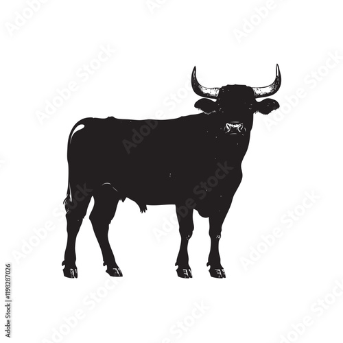 black and white cow