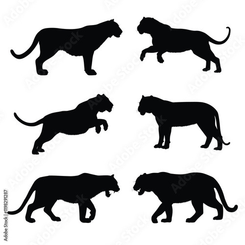 Silhouette of a tiger
