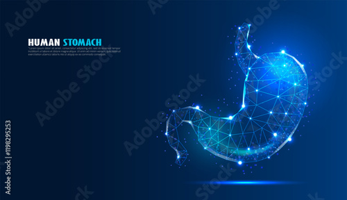 A futuristic, abstract representation of the human stomach, constructed from interconnected nodes and lines. Glowing blue hues create a sense of biological energy. Perfect for medical, scientific, and