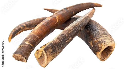 Horn agricultural Meal on transparent background photo