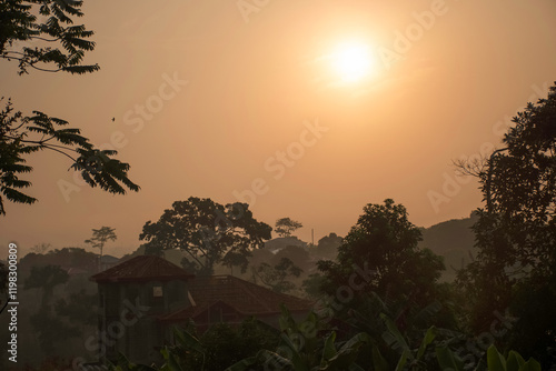 sunset in the forest