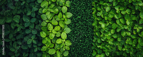 Lush green foliage in various shades, creating vibrant natural pattern