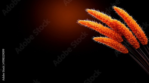 Autumnal Hues: A cluster of vibrant orange foxtail grass stands out against a rich, dark background, creating a striking contrast and a sense of autumnal warmth. photo