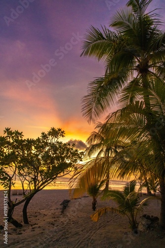 French Polynesia, Tikehau Atoll. Trees and ocean at sunset.