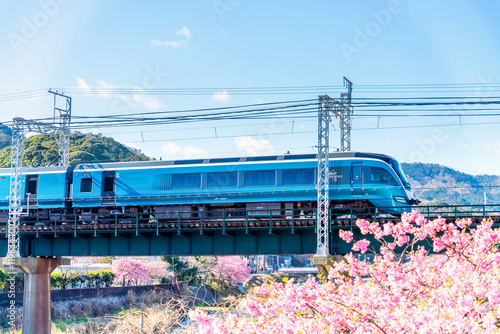 500_F_1198344007_Kb7ldnQ8pU7zo