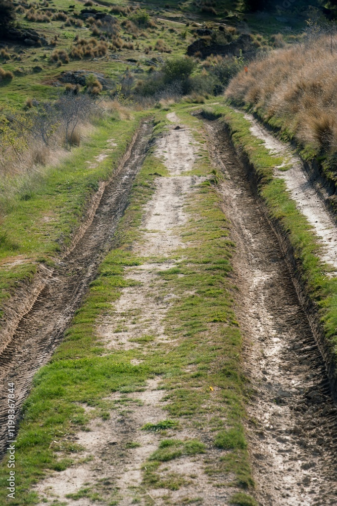 Car Tracks in the Muddy Rural Path Car Tracks in the Muddy Rural Path