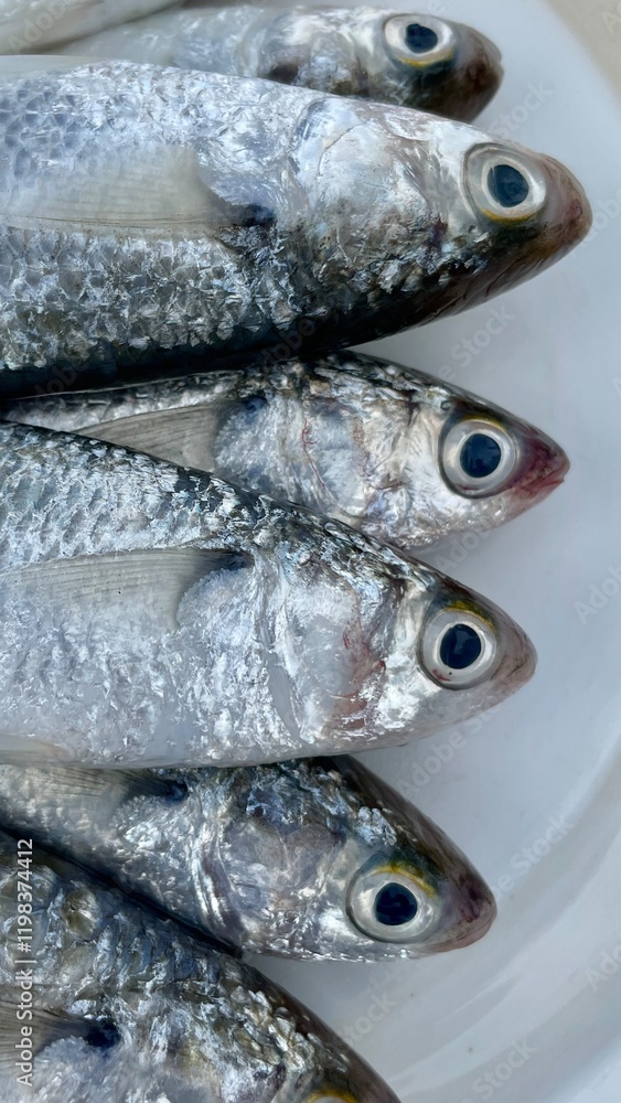 Obraz premium fresh fish on the market