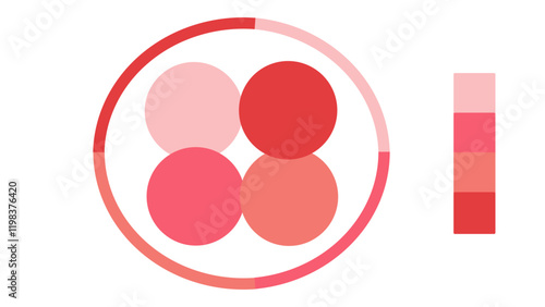 Rose Quartz, Red, Coral, Cinnabar circle color palette. Trend color guide palette catalog samples in rgb hex. Color palette for fashion designers, business, and paints colors company