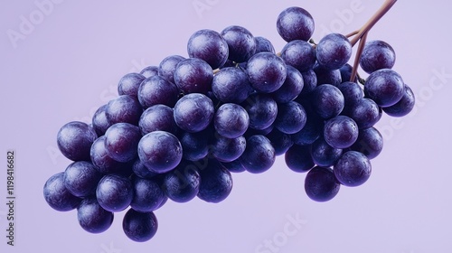 Wallpaper Mural Lush bunch of dark purple grapes on a stem. Torontodigital.ca