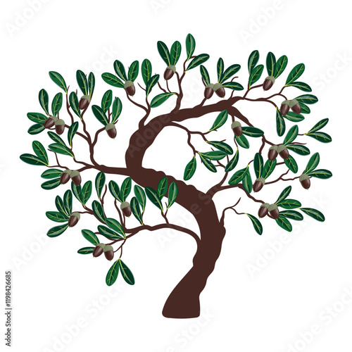 southern live oak, vector drawing tree with acorns and green leaves, isolated at white background, hand drawn illustration