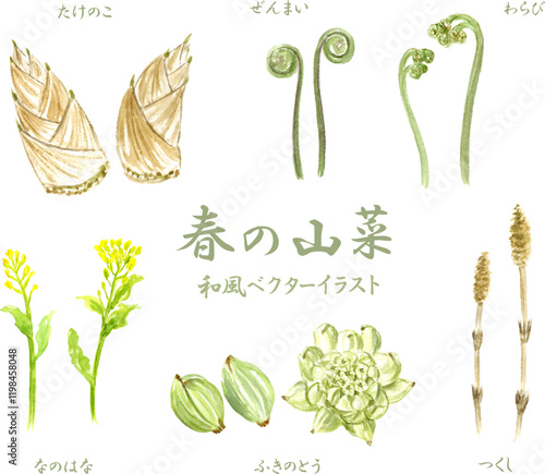 春の山菜の和風ベクターイラストセット