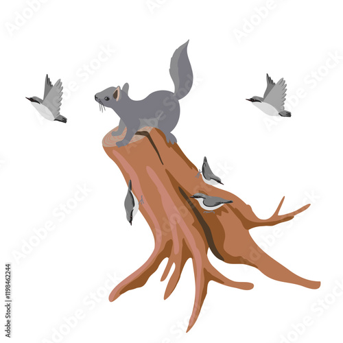 vector drawing squirrel at tree stump and birds of wood nuthatch, animal isolated at white background