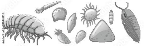 Fascinating Microscopic Marine Life Forms
