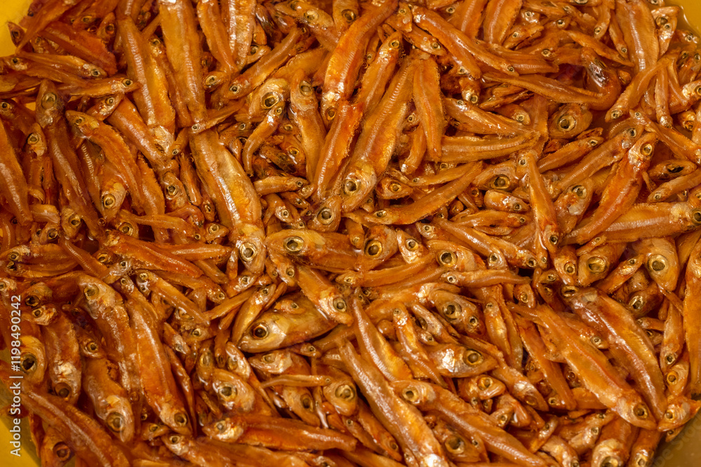 Matemba or Kapenta Fish (Limnothrissa miodon, Lake Tanganyika Sardine), a Source of Food for Many People in Some African Countries, Soaking Before Preparation Matemba or Kapenta Fish (Limnothrissa miodon, Lake Tanganyika Sardine), a Source of Food for Many People in Some African Countries, Soaking Before Preparation
