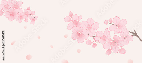 Spring Japanese Cherry blossom flower background vector. Sakura floral Wallpaper design of elegant cherry blossom flower, branch. Illustration for banner, wall decoration, backdrop, ads.
