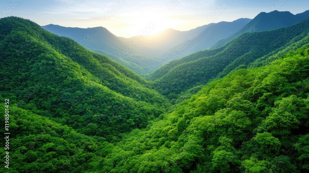 Obraz premium A serene sunrise over lush green mountains, showcasing the beauty of nature and tranquility in a vibrant landscape.