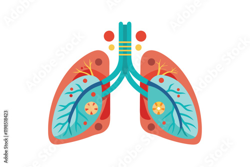human heart model