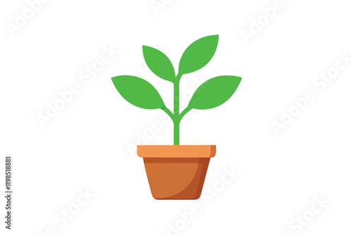 plant in pot