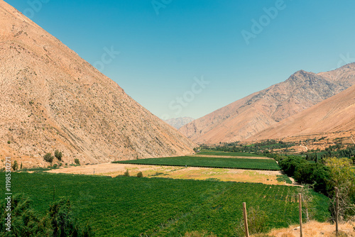 landscape of the mountains - Valle del Elqui photo