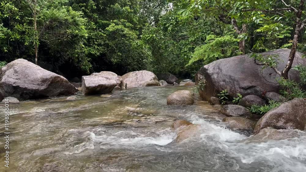 Mountain stream flowing through a lush green forest with rocks and moss in a peaceful wilderness setting Mountain stream flowing through a lush green forest with rocks and moss in a peaceful wilderness setting