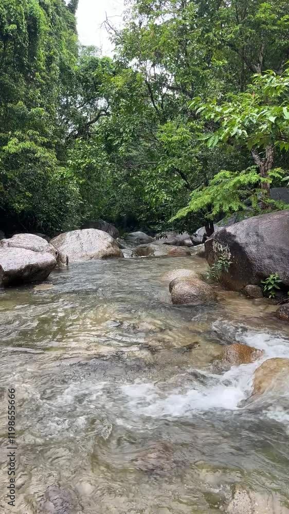 Mountain stream flowing through a lush green forest with rocks and moss in a peaceful wilderness setting Mountain stream flowing through a lush green forest with rocks and moss in a peaceful wilderness setting