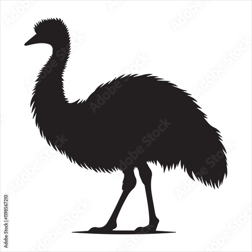 Emu Flightless bird silhouette Vector illustration, Emu bird Clipart Design
