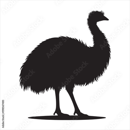 Emu Flightless bird silhouette Vector illustration, Emu bird Clipart Design
