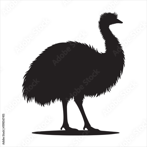 Emu Flightless bird silhouette Vector illustration, Emu bird Clipart Design
